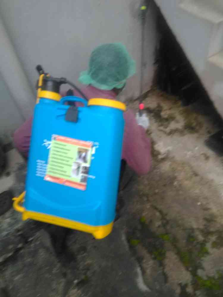 professional fumigation services picture